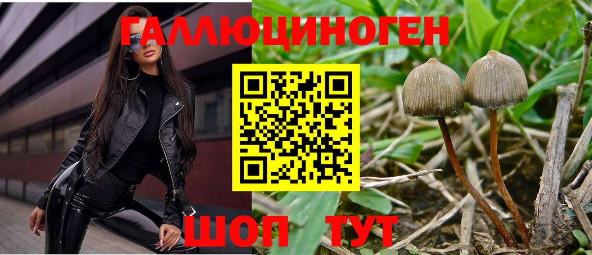 Псилоцибиновые грибы ЛСД Тара
