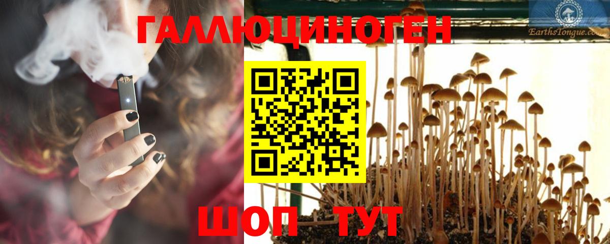 Тара  Галлюциногенные грибы Psilocybine cubensis  Вход с VPN  Галлюциногенные грибы ЛСД 
